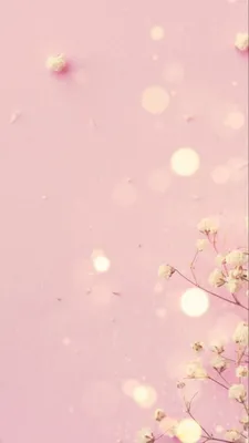 Фон для сторис Инстаграм | Цветочные фоны, Фотокабина рамки, Розовые  цветовые схемы
