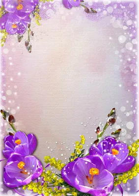 поздравительная открытка розовые цветы фон Stock Illustration | Adobe Stock