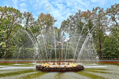 Открытие крупнейшего в России фонтана со светомузыкальным шоу прошло в  Дербенте