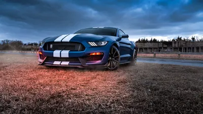 Обои на рабочий стол Ford Mustang Shelby / Форд Мустанг Шелби стоит на  сухой траве под пасмурным небом, обои для рабочего стола, скачать обои, обои  бесплатно