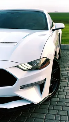 Ford mustang white and black 6 Generation | Мустанг, Ягуар, Форд