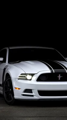 Обои Форд Mustang, картинки - Обои для рабочего стола Форд Mustang фото из  альбома: (авто)