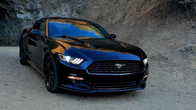 Скачать 1920x1080 ford, форд, mustang, черный, вид спереди, спорткар обои,  картинки full hd, hdtv, fhd, 1080p