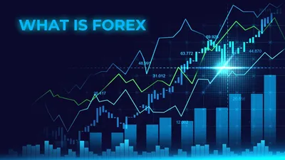 The 6 Best Online Forex Trading Classes of 2024