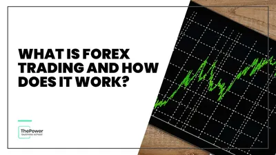 FOREXer Limited | Online Forex Market, FX Currency Trading