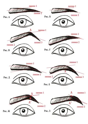 Формы бровей по типу лица: 50+ фото как подобрать форму бровей в домашних  условиях в 2023 году