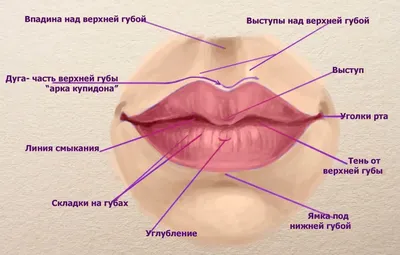 Коррекция объема и формы губ » Салон лазерной косметологии \"ЛИЛУ\"