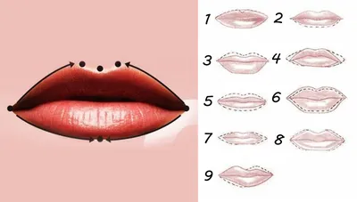 Тест «Что может рассказать о вашем характере форма губ» | Вкусно и быстро |  Дзен