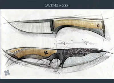 Распространённые формы и заточки лезвий ножей | Мужской путь 🤝 | Дзен