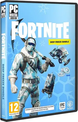Amazon.com: Epic Games Compatible Fortnite: Deep Freeze Bundle - PC : Video  Games