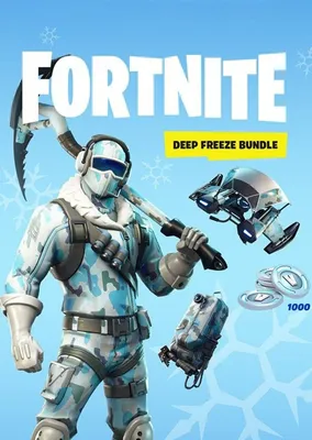FORTNITE Deep Freeze Bundle, Warner, Nintendo Switch, 883929662616 -  Walmart.com