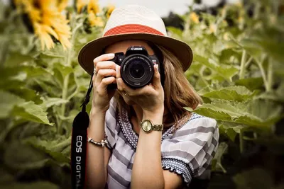 Как начинающему фотографу выбрать фотоаппарат | Статьи | Фото, видео,  оптика | Фотосклад Эксперт