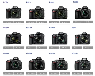 Зеркальный фотоаппарат Nikon D5300 Kit AF-S DX NIKKOR 18-55mm f/3.5-5.6G -  купить по низкой цене в интернет-магазине OZON (932791096)