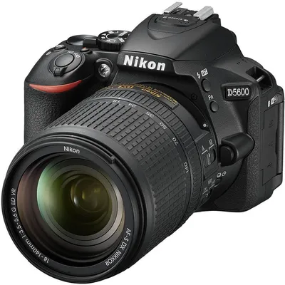 Купить Фотоаппарат Nikon Z50 Body, черный по цене 67 500 руб. с доставкой в  Москве и всей России