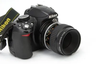 Фотоаппарат Nikon D3100. Обзор и примеры фото. Перископ
