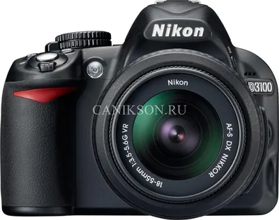 Тестирование скорострельного фотоаппарата Nikon D500