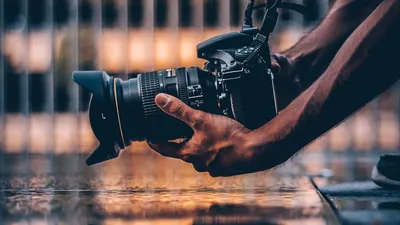 25 лучших курсов фотографа для начинающих: рейтинги, цены, отзывы, советы  экспертов