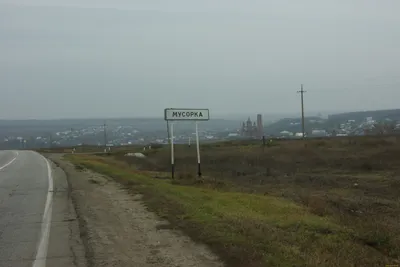 Песик застрял головой в коробке, и это смешное фото спровоцировало забавный  фотошоп-баттл – Люкс ФМ