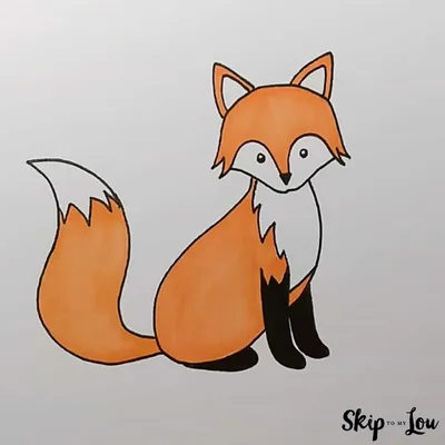 How to Draw A Fox – A Step-by-Step Guide | Skip To My Lou