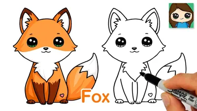 How to Draw a Cute Fox Easy 🦊New - YouTube