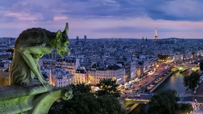 Франция: все о стране, города, места, люди, еда, острова, фауна, поездка,  связь | Smapse News: Образование и наука | Дзен