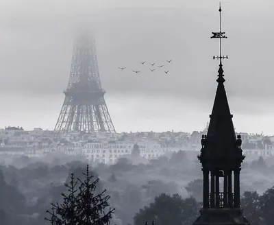 🌴 Туры и отдых во Франции 2023 ☀ цены с выездом из Минска, погода, что  посетить, что купить