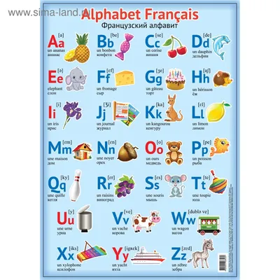 Таблица демонстрационная Французский алфавит в картинках (с  транскрипцией)(винил 100х140)