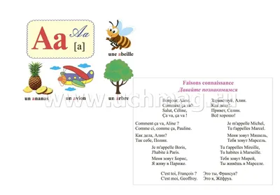 Французский язык. Урок 1. Французский алфавит - YouTube