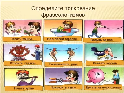 Фразеологизм в русском языке — значение, виды, примеры