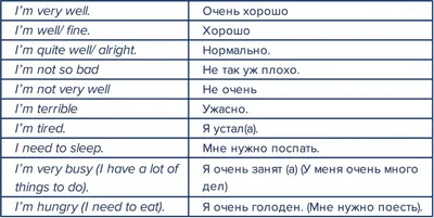 ✓787 Английские фразы. Для начинающих. Учим разговорный английский язык с  нуля - YouTube