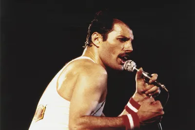 Фредди Меркьюри (Freddie Mercury) обои, фото, картинки