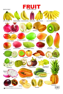 Pin by Sun Chhunlann on Fruits | Exotic fruit, Fruit names, Fruit