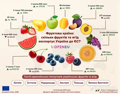 O2rganica - ОВОЩИ И ФРУКТЫ ОКТЯБРЯ🍂 ⠀ Максимально богаты витаминами и  микроэлементами сезонные овощи и фрукты, созревшие согласно естественному  природному циклу и собранные на его пике. Такие плоды можно и нужно есть