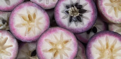 Цитрусовые фрукты – список названий
