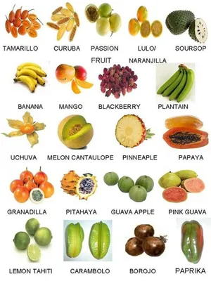 свежие фрукты и овощи в корзине с клиентом до получения Редакционное  Стоковое Фото - изображение насчитывающей концепция, супермаркет: 253393098
