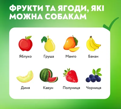 Какие фрукты можно есть ребенку – список запрещенных от аллерголога — Шуба