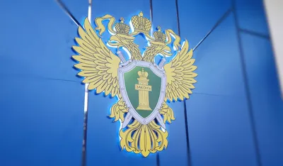 Знак классности ФСИН РФ Мастер-M-170