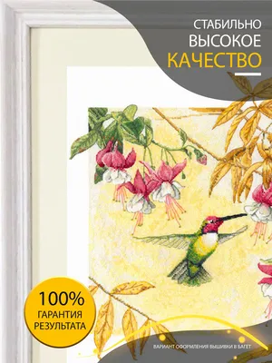 Купить семена Фуксия Fuchsia Ballerina в Москве: доставка семян по России и  СНГ - интернет-магазин «Сады Семирамиды»