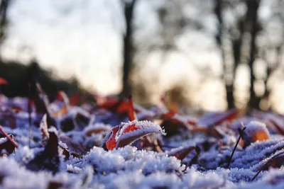 Зима Зимний Пейзаж - Бесплатное фото на Pixabay - Pixabay