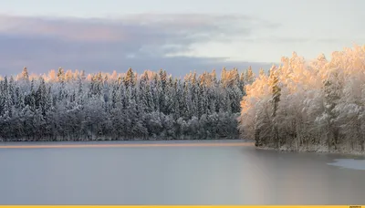 Природа :: зима :: фото :: красивые картинки - JoyReactor