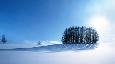 Небо зимой - 56 фото
