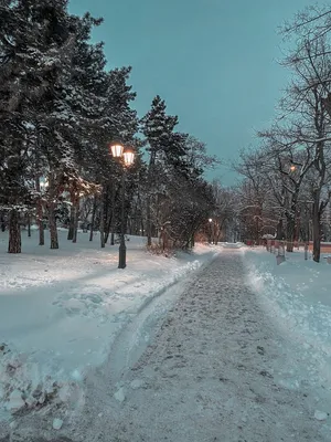 Зимний пейзаж. Фото. Зима 2021❄️🤍 Зимняя сказка ❄️❄️❄️ | Outdoor, Snow