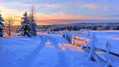 Волшебная зима (85 фото) - 85 фото