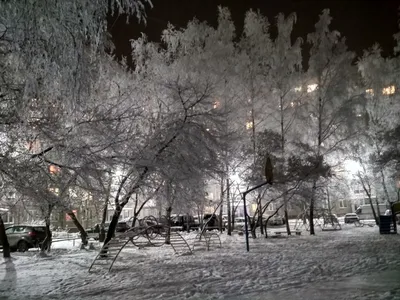 Метеорологическая зима наступила в Москве — РБК