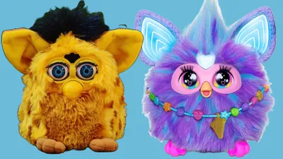Furby collection (old picture) by rainbowrider6499 on DeviantArt