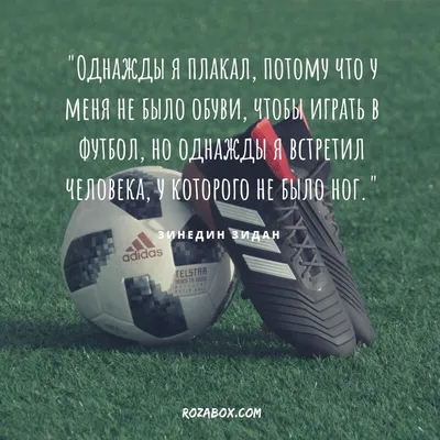 Лучшие цитаты о футболе | Goprosport | Дзен
