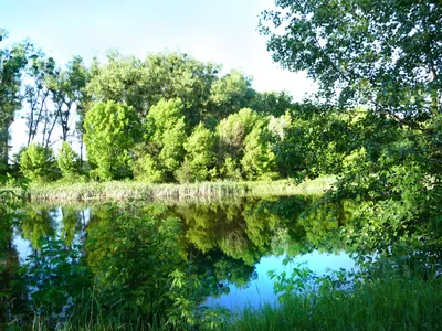 Гай Картинки [83 фото]