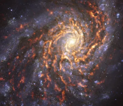 Получен снимок крупнейшей в нашей части Вселенной галактики