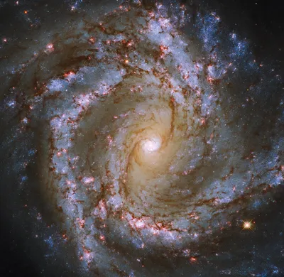 M33 Галактика Треугольника