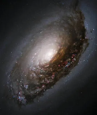 Свет первых звезд: как была открыта самая далекая галактика в известной  Вселенной | Forbes.ru